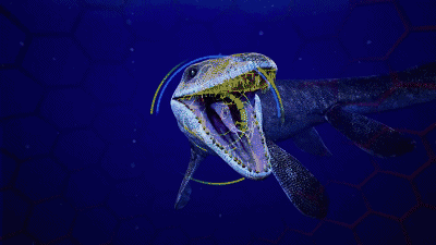 1516249291806981.gif 56.gif