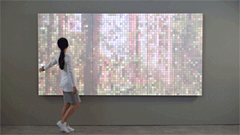 1550641441377054616.gif 1550641441377054616.gif