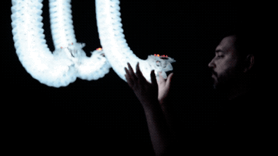 1550641494672027083.gif 1550641494672027083.gif