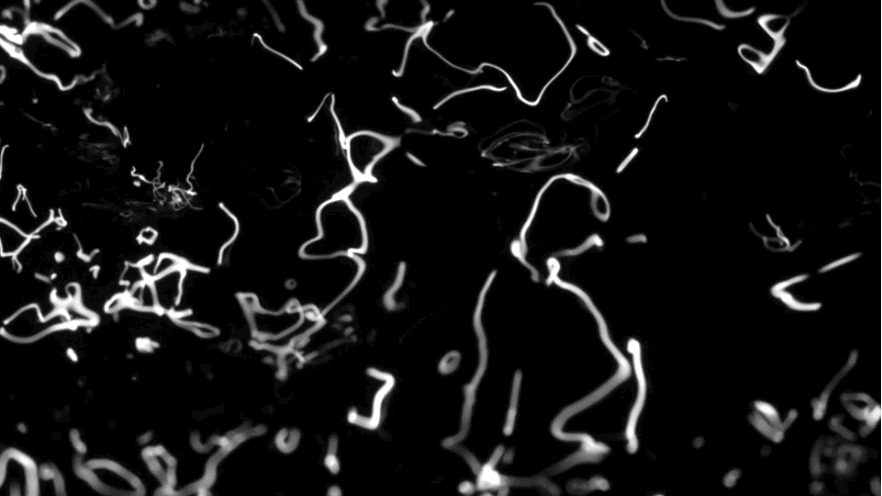 1555396212599040960.gif 1555396212599040960.gif