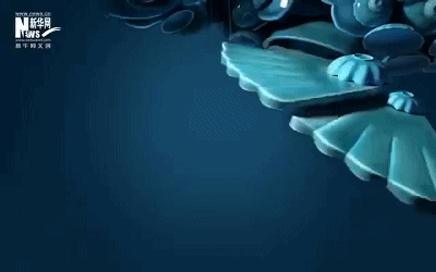 1559719191996037824.gif 1559719191996037824.gif
